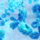A new startup takes aim at a suspected culprit in autoimmune disease