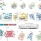 AI designs working molecular scissors that recognize and cut selected protein targets