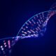 ASHG: Long-Read Genomics Meets Clinical Data in PacBio, Verily Health AI Deal