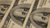 Bambusa, Aspen, and Tang added to IPO pipeline