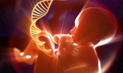 Brain Quality Control Selectively Eliminates Neurons with Abnormal Variants in Development