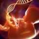 Brain Quality Control Selectively Eliminates Neurons with Abnormal Variants in Development