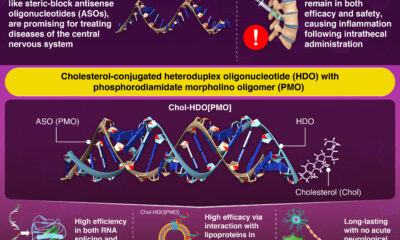 Cholesterol-linked drug boosts gene-targeting potency in early findings