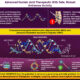 Cholesterol-linked drug boosts gene-targeting potency in early findings
