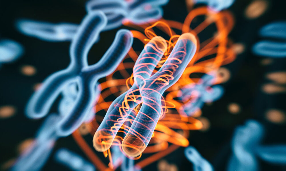 Illumina Combines Multiomics Informatics Applications in New BioInsight Platform