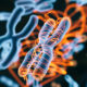 Illumina Combines Multiomics Informatics Applications in New BioInsight Platform