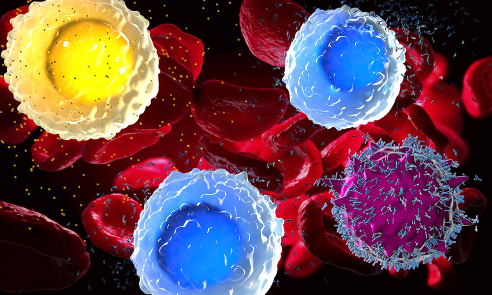 Immune Cell Atlas Charts How People’s Aging Paths Diverge