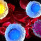 Immune Cell Atlas Charts How People’s Aging Paths Diverge