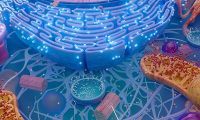 New Calibration Framework Improves Confidence in AI Virtual Cell Models