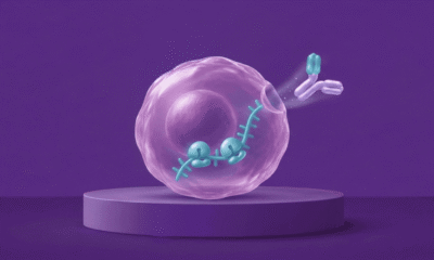 Novartis turns to mRNA-encoded engagers for B cell depletion