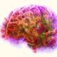 PerturbAI and OpenAI Launch AI Reasoning Agents for Biomedical Discovery