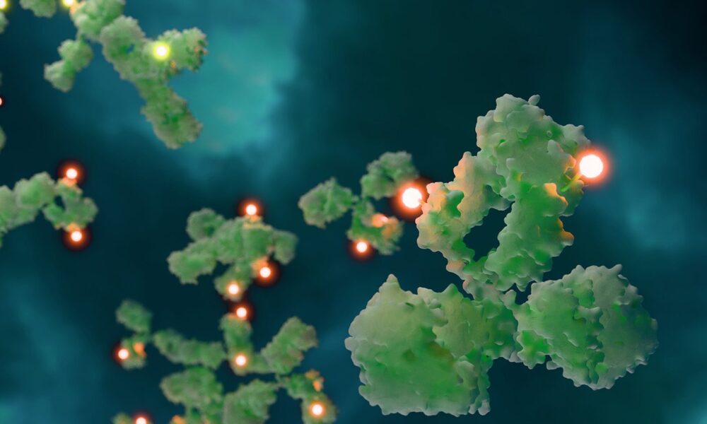 Roche, Hansoh Launch Up-to-$15B+ Cancer ADC Collaboration