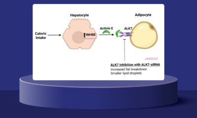 Roche turns to China’s Rona for ALK7-siRNA for selective fat loss