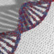 STAT+: Nonprofit resurrects shelved gene therapy after startup shuts down 