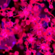 T Cell Receptor Sequencing Reveals Immune Fingerprints in Children with Mycoplasma Pneumonia