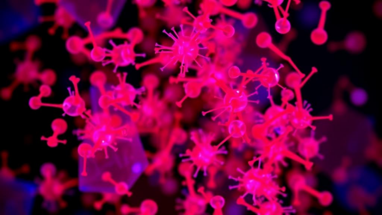 T Cell Receptor Sequencing Reveals Immune Fingerprints in Children with Mycoplasma Pneumonia