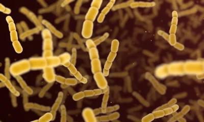 Vaxcyte skyrockets on ‘near best-case’ pneumococcal vaccine data